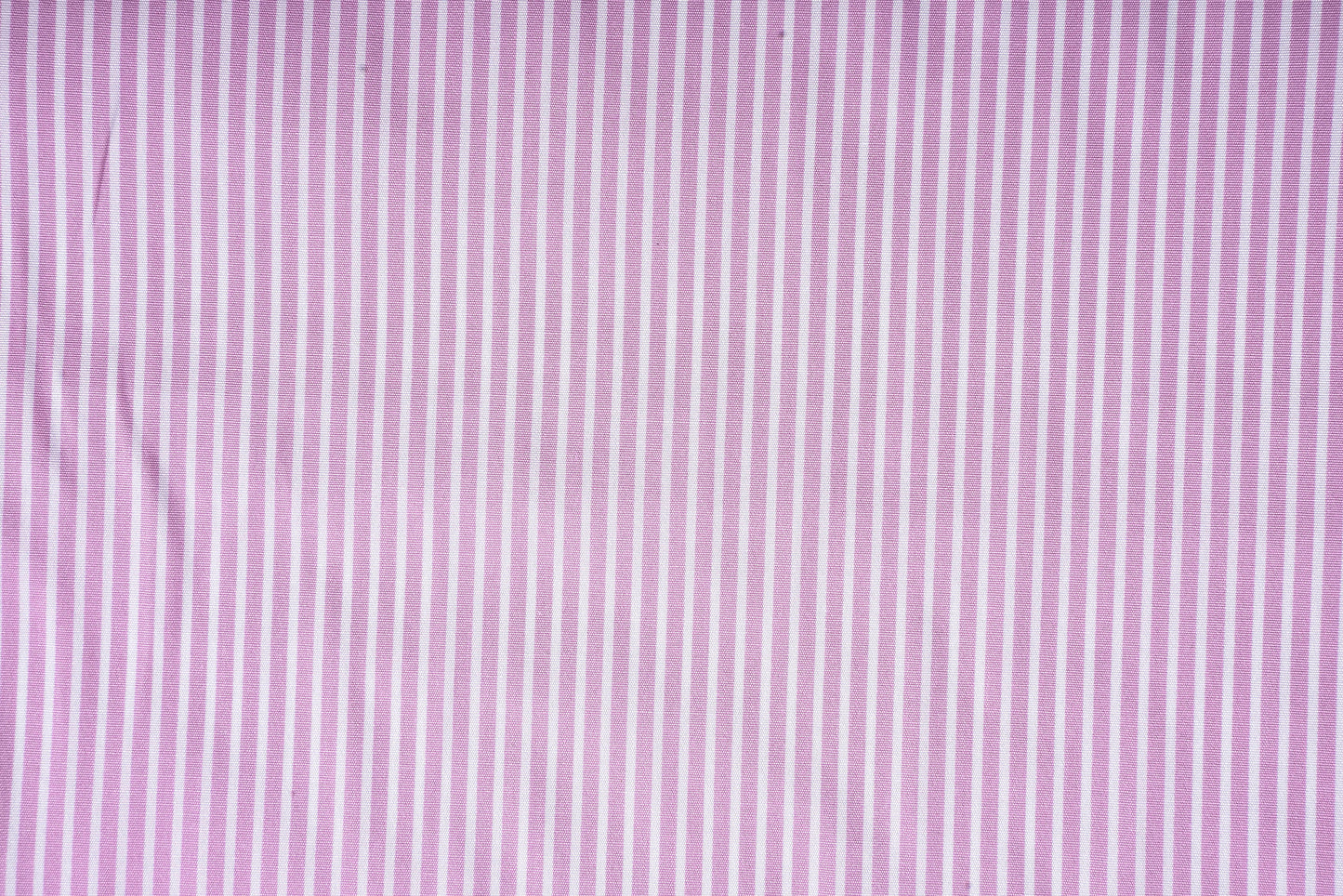 Pink Dress Stripes 80/2