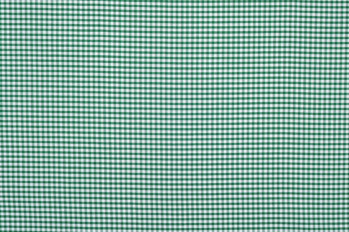Oxford Lincoln Green Gingham on White - 5
