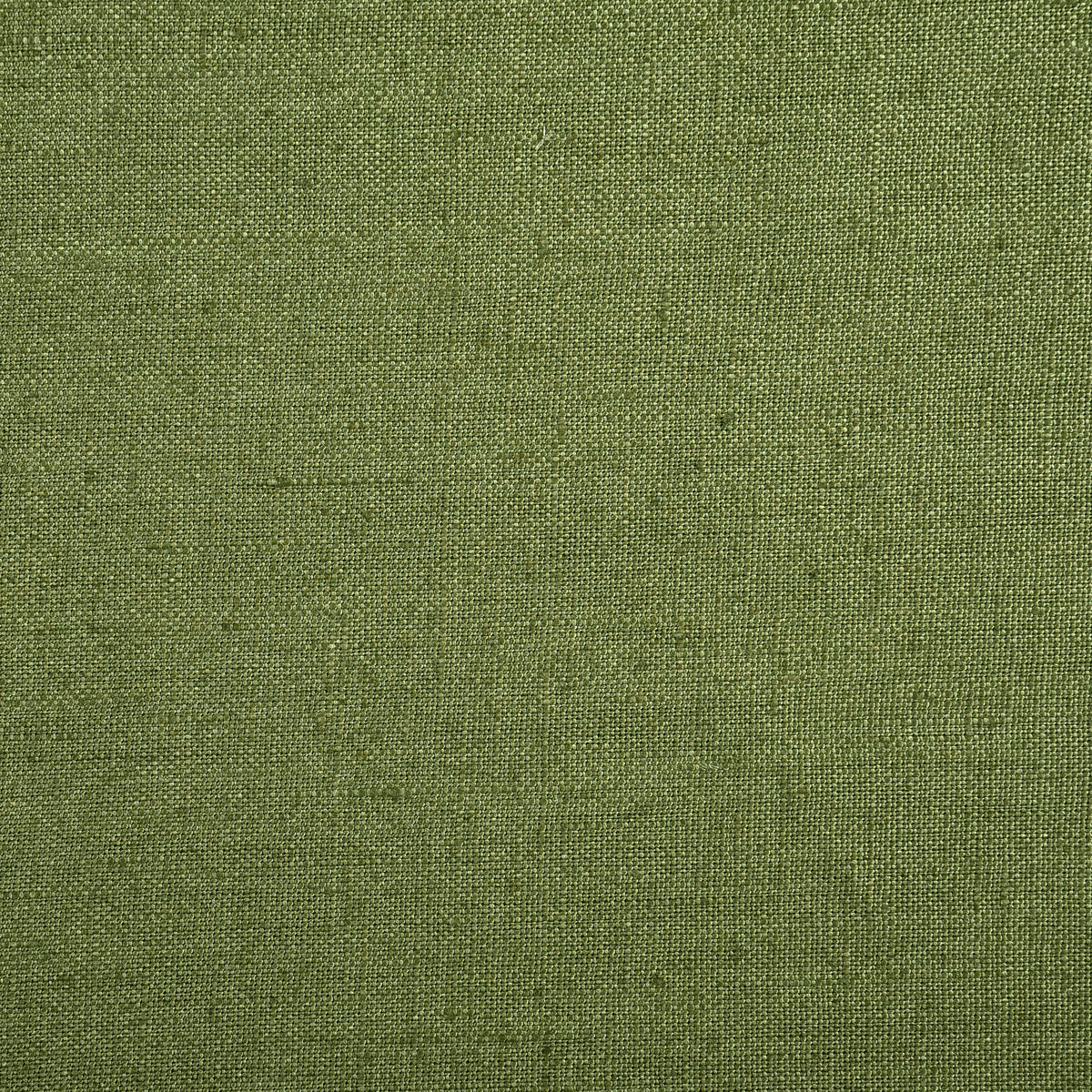 Pleated Fern Green Linen Dress Pant - 10