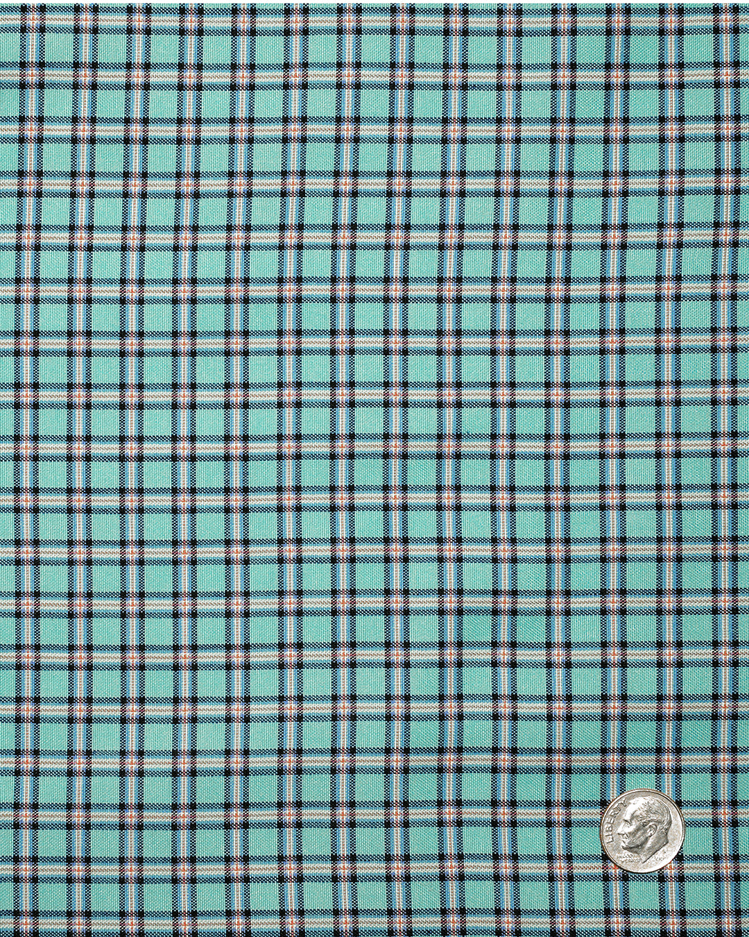 Blue Green Gingham Checks Oxford - 5