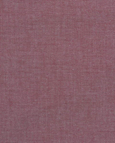 Maroon Oxford Shirt