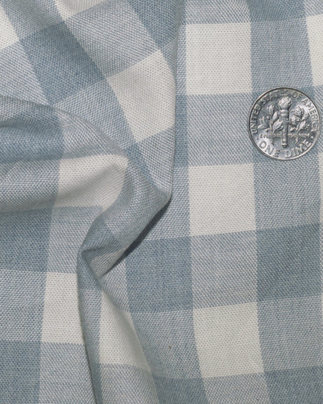 Washed Indigo Cream Gingham - 4