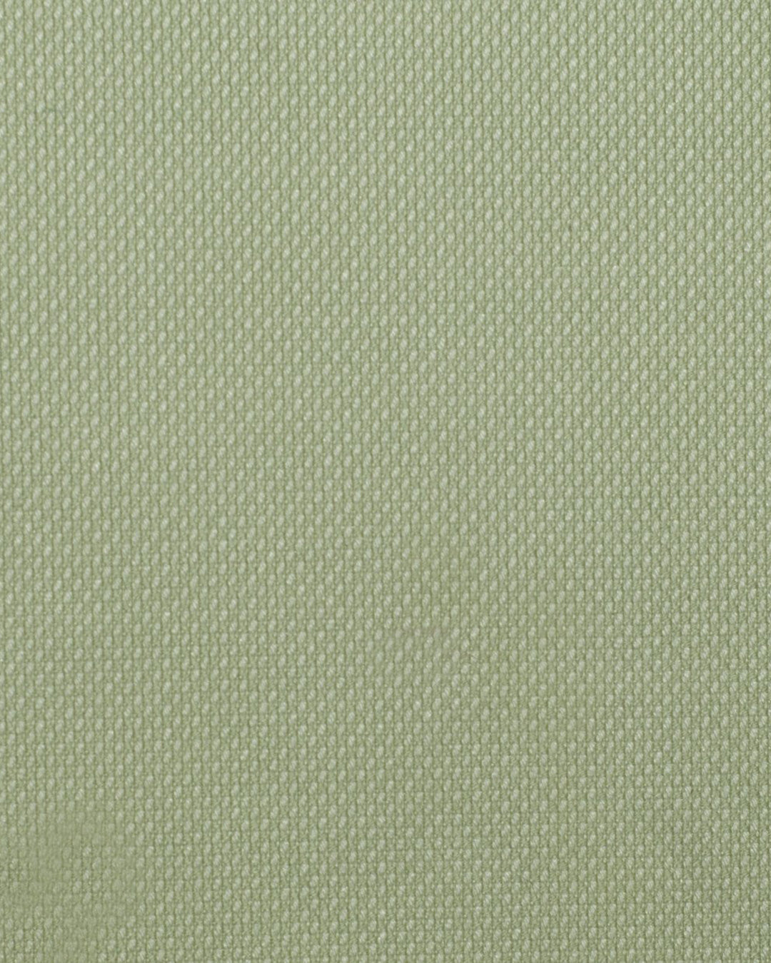 Light Olive Royal Oxford - 4