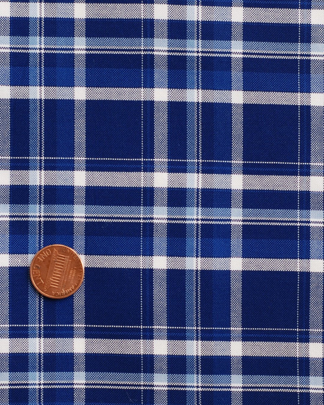 Easy-to-Iron Blue White Checks Shirt - 4