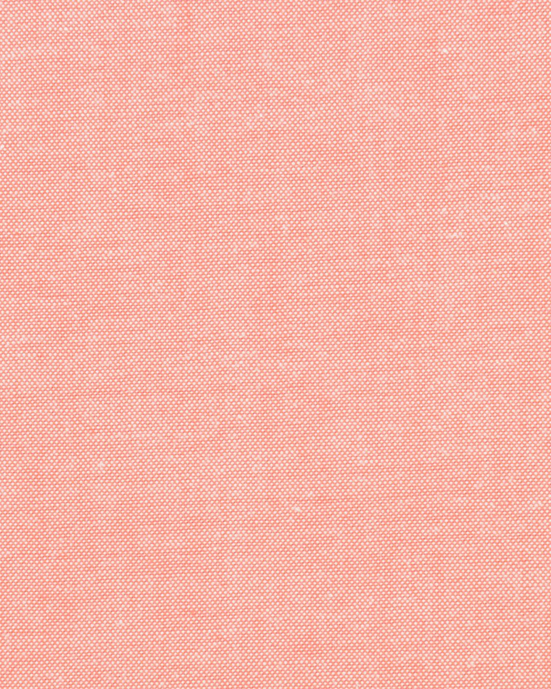 Classic Orange Oxford - 4